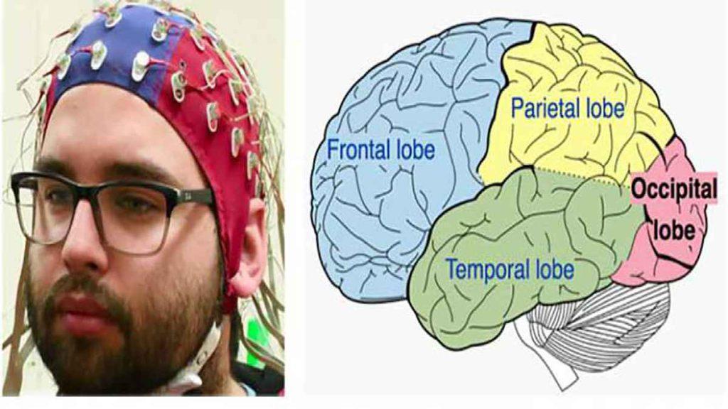 نقشه های مغزی